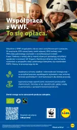 Gazetka promocyjna Lidl - Gazetka ważna od 17.09 do 19.09 - Gazetka - ważna od 19.09 do 19.09.2026 - strona 93 - produkty: Por, Gra, Kawa, Bieganie, Herbata, Olej, Fa