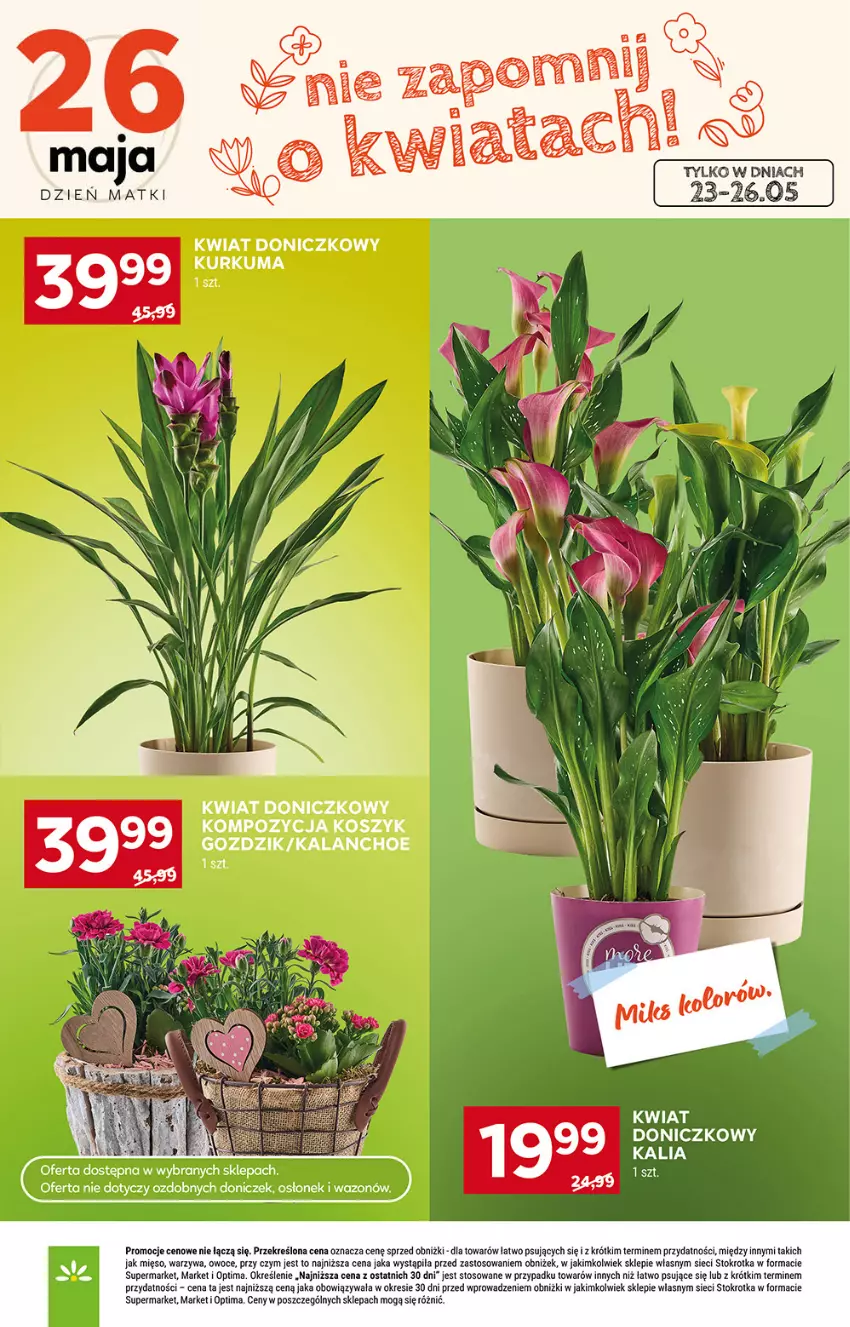 Gazetka promocyjna Stokrotka - Supermarket - ważna 21.05 do 27.05.2026 - strona 11 - produkty: Kalanchoe, Kosz, Mięso, Optima, Owoce, Warzywa