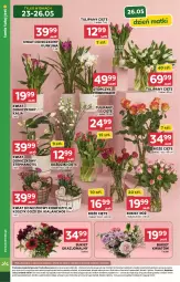 Gazetka promocyjna Stokrotka - Supermarket - Gazetka - ważna od 27.05 do 27.05.2026 - strona 16 - produkty: Kurkuma, Warzywa, Tulipan, Kosz, Kalanchoe, Wazon, Optima, Storczyk, Bukiet, Owoce, Mięso