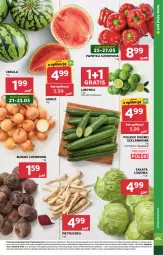 Gazetka promocyjna Stokrotka - Supermarket - Gazetka - ważna od 27.05 do 27.05.2026 - strona 17 - produkty: Cebula, Warzywa, Gra, Pietruszka, Sałata lodowa, Papryka czerwona, Papryka, Sałat, Optima, Buraki, Limonka, Owoce, Arbuz, Mięso
