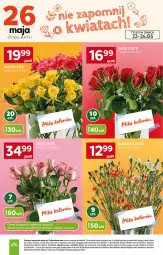 Gazetka promocyjna Stokrotka - Supermarket - Gazetka - ważna od 27.05 do 27.05.2026 - strona 9 - produkty: Warzywa, Wazon, Optima, Owoce, Mięso