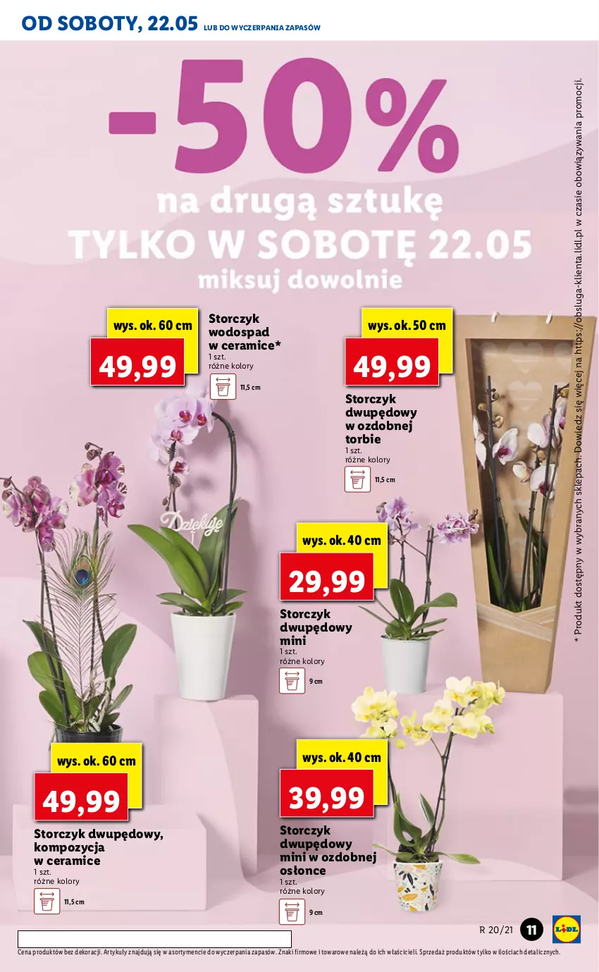 Gazetka promocyjna Lidl - GAZETKA - ważna 20.05 do 22.05.2021 - strona 11 - produkty: Storczyk