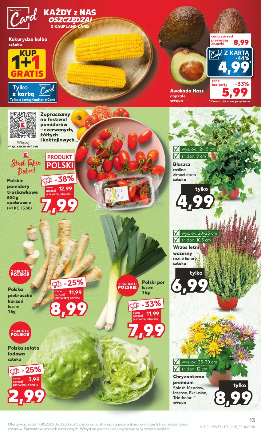 Gazetka promocyjna Kaufland - Gazetka tygodnia - ważna 17.08 do 23.08.2023 - strona 13 - produkty: Chryzantema, Gra, Grunt, Kukurydza, Pietruszka, Pomidory, Por, Sałat, Sałata lodowa