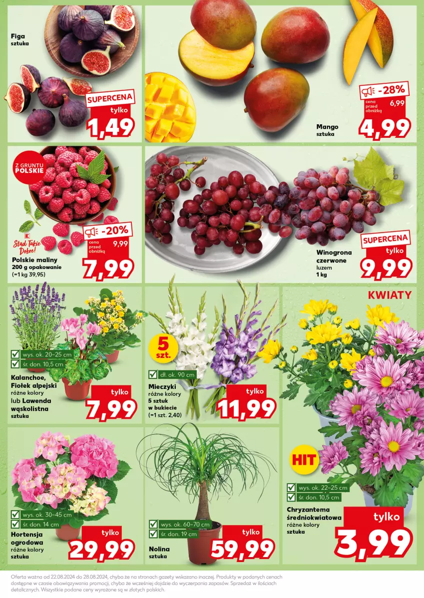 Gazetka promocyjna Kaufland - Kaufland - ważna 26.08 do 28.08.2024 - strona 7 - produkty: Chryzantema, Kalanchoe, Maliny, Wino, Winogrona