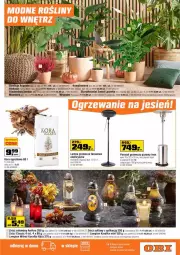 Gazetka promocyjna Obi - Gazetka - ważna od 26.10 do 26.10.2021 - strona 15 - produkty: Kora ogrodowa, Róża, Parasol, Tera, Dron, Laur, Karafka, Lampion, Znicz, Lampa