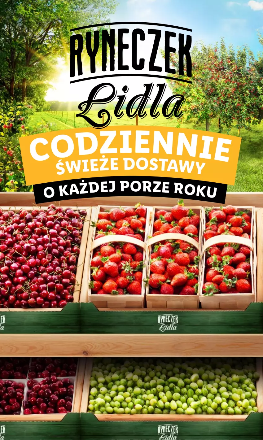 Gazetka promocyjna Lidl - GAZETKA - ważna 03.07 do 05.07.2023 - strona 15 - produkty: Por