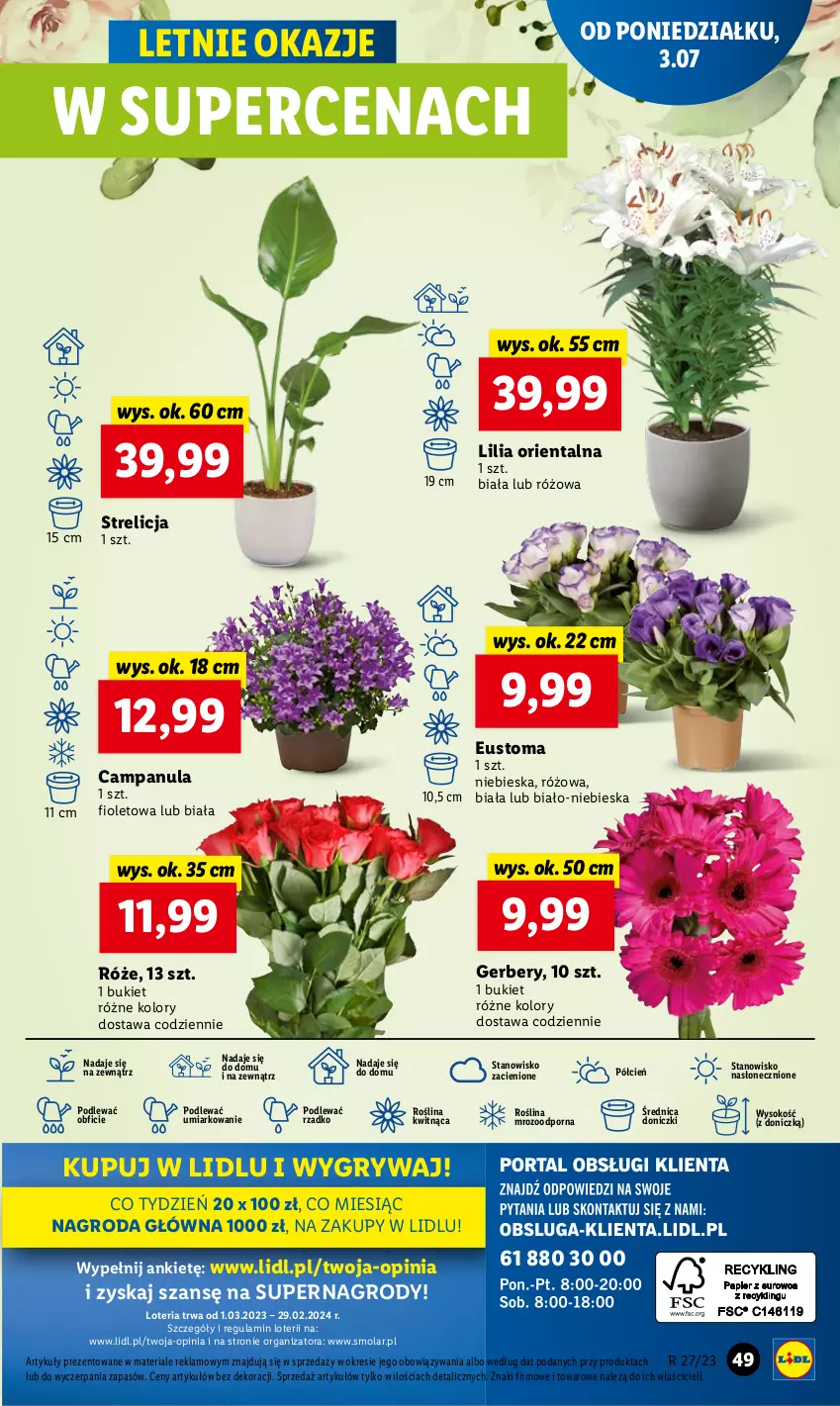 Gazetka promocyjna Lidl - GAZETKA - ważna 03.07 do 05.07.2023 - strona 59 - produkty: Bukiet, Campanula, Cień, Gerber, Gry, Mola, O nas, Por, Sok