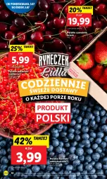 Gazetka promocyjna Lidl - GAZETKA - Gazetka - ważna od 05.07 do 05.07.2023 - strona 16 - produkty: Por, Porzeczki czerwone