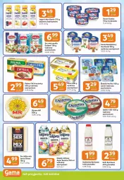Gazetka promocyjna Gama - Gazetka Gama - Gazetka - ważna od 05.08 do 05.08.2025 - strona 6 - produkty: Mozzarella, Ser, Gra, Maślanka, Jogurt, Napój roślinny, Serek kanapkowy, Palma, Serek, Hochland, Galbani, Danio, Delma, Deser, Słynne, Alpro, Flora, Napój, Lisner