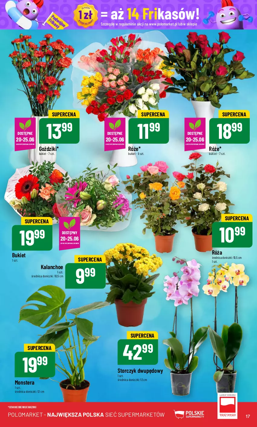 Gazetka promocyjna PoloMarket - Gazetka pomocyjna - ważna 19.06 do 25.06.2024 - strona 17 - produkty: Bukiet, Kalanchoe, Róża, Storczyk, Tera, Wazon