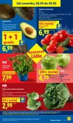 Gazetka promocyjna Lidl - Gazetka ważna od 28.05 do 30.05 - Gazetka - ważna od 30.05 do 30.05.2026 - strona 37 - produkty: Piec, Warzywa, Gra, Sałata masłowa, Sałata lodowa, Wazon, Sałat, Owoce, Masło, Pomidory, Mięta, LG