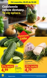 Gazetka promocyjna Lidl - Gazetka ważna od 28.05 do 30.05 - Gazetka - ważna od 30.05 do 30.05.2026 - strona 40 - produkty: Grunt