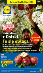 Gazetka promocyjna Lidl - Gazetka ważna od 28.05 do 30.05 - Gazetka - ważna od 30.05 do 30.05.2026 - strona 41 - produkty: O nas, Jabłka