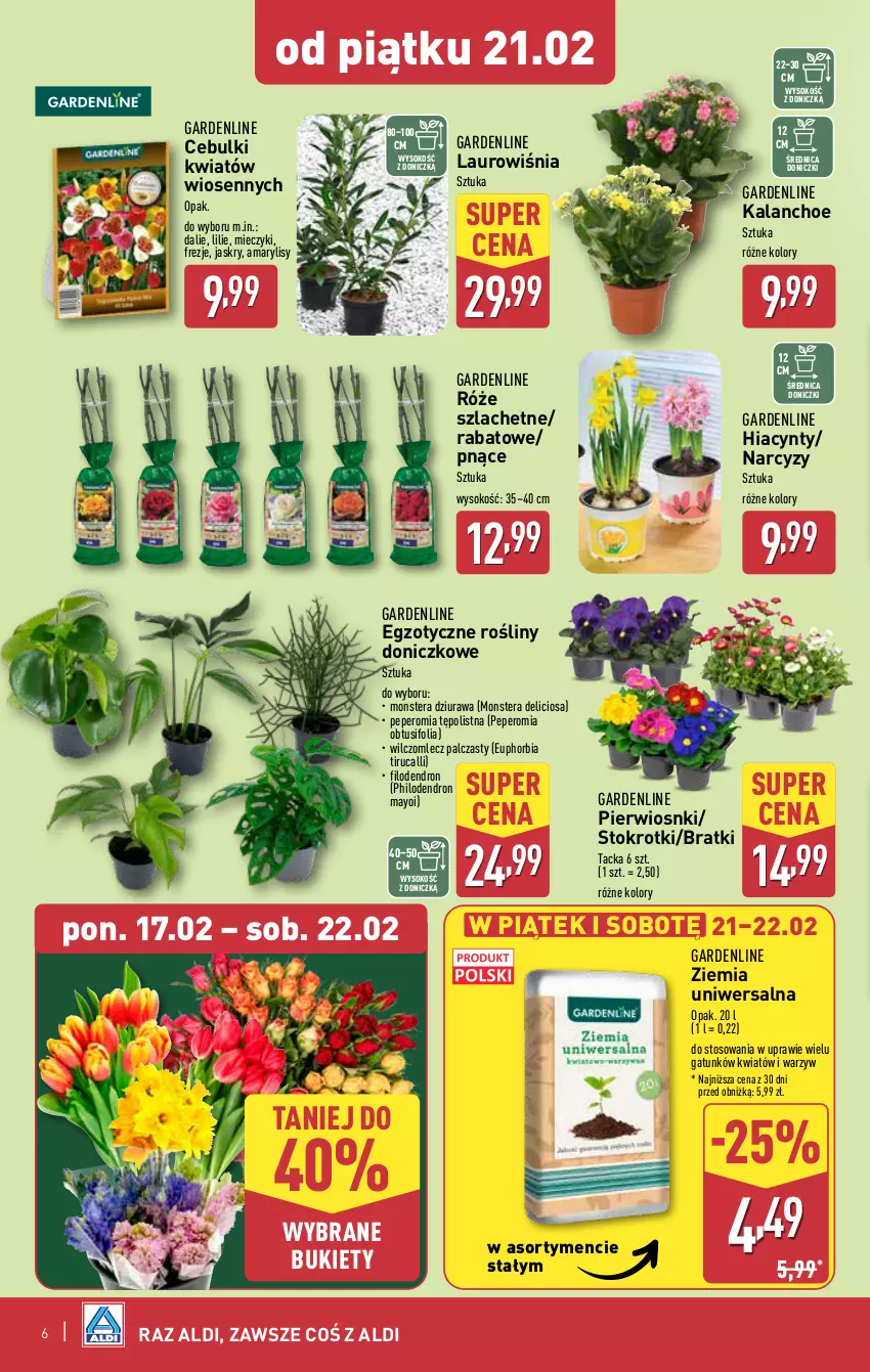 Gazetka promocyjna Aldi - Farmer ALDIK poleca świeże owoce i warzywa - ważna 17.02 do 22.02.2025 - strona 6 - produkty: Amarylis, Bukiet, Dron, Hiacynt, Kalanchoe, Laur, Miecz, Narcyz, Sok, Tera