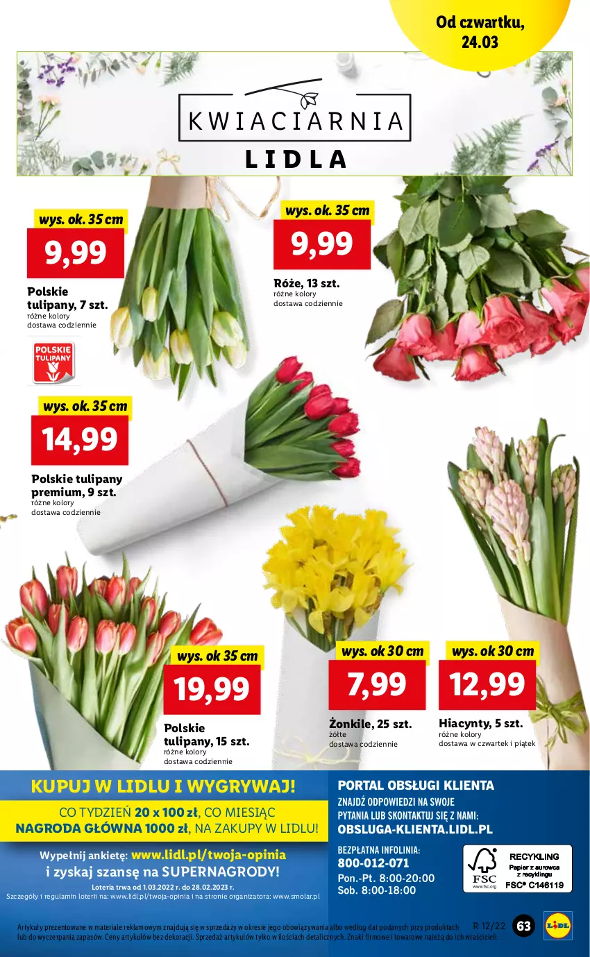 Gazetka promocyjna Lidl - GAZETKA - ważna 24.03 do 27.03.2022 - strona 63 - produkty: Gry, Hiacynt, Mola, Tulipan