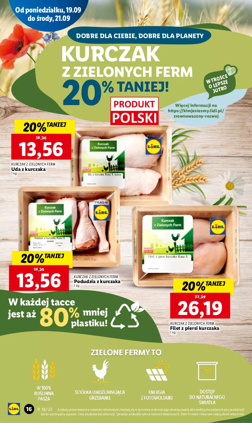 Gazetka promocyjna Lidl - GAZETKA - ważna 19.09 do 21.09.2022 - strona 18 - produkty: Filet z piersi kurczaka, Kurczak, Wazon