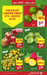 Gazetka promocyjna Aldi - Światełko pamięci - Gazetka - ważna od 04.10 do 04.10.2025 - strona 11 - produkty: Kaktus, Kiwi, Limonka, Gala, Jabłka