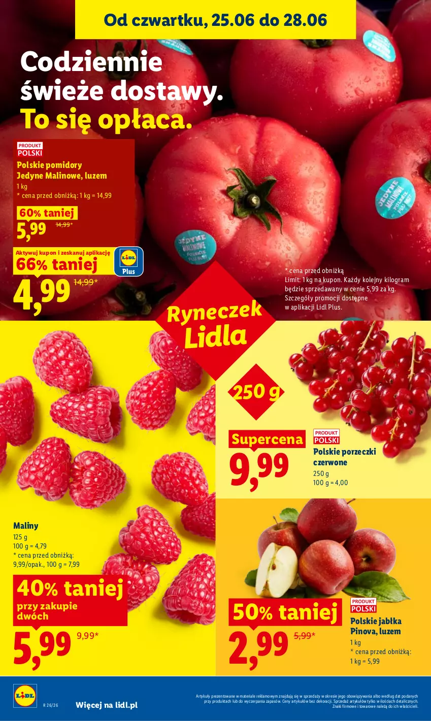 Gazetka promocyjna Lidl - Gazetka ważna od 25.06 do 28.06 - ważna 25.06 do 28.06.2026 - strona 38 - produkty: Gra, Jabłka, Maliny, Olej, Pomidory, Por, Porzeczki czerwone