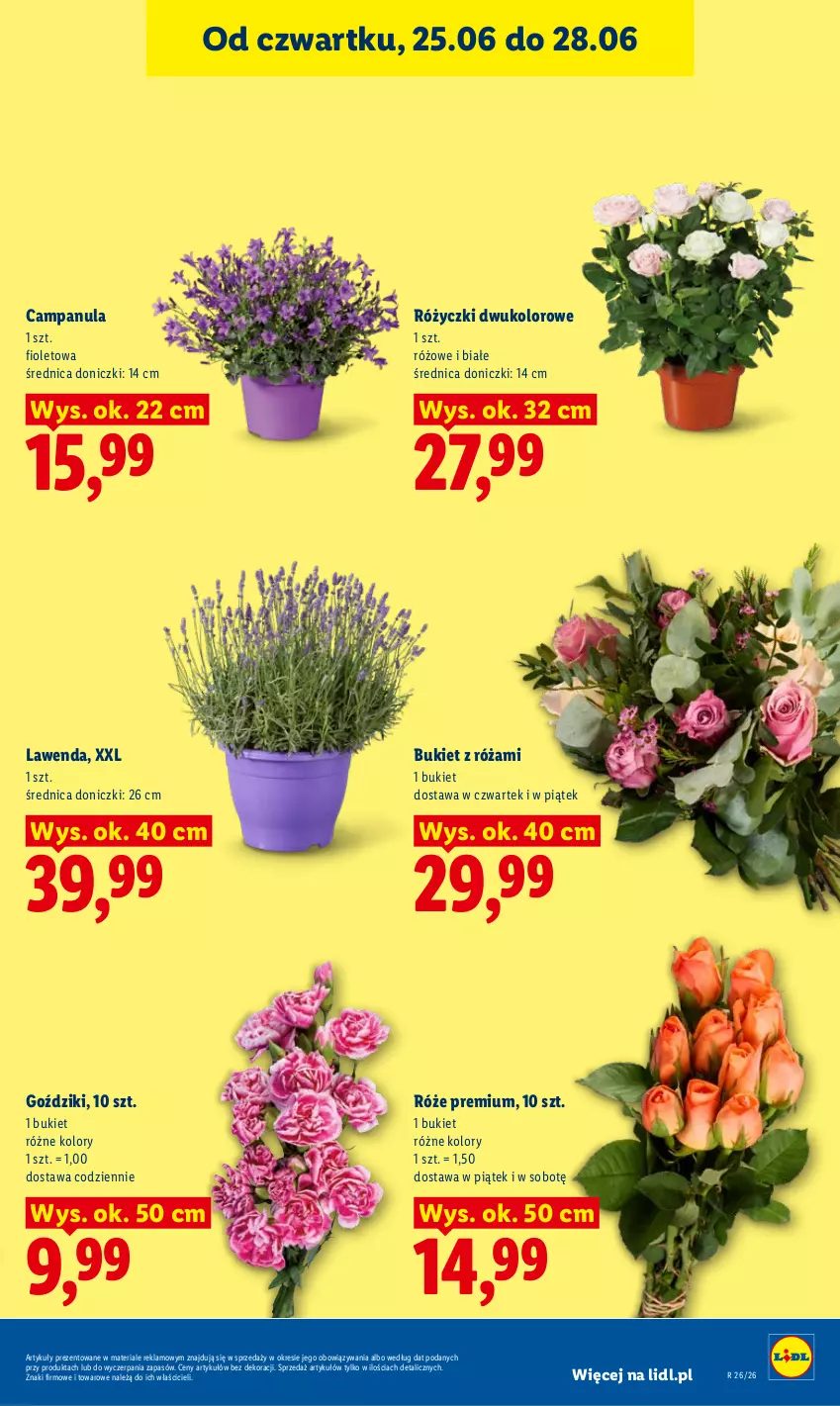 Gazetka promocyjna Lidl - Gazetka ważna od 25.06 do 28.06 - ważna 25.06 do 28.06.2026 - strona 41 - produkty: Bukiet, Campanula, Róża