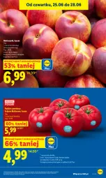 Gazetka promocyjna Lidl - Gazetka ważna od 25.06 do 28.06 - Gazetka - ważna od 28.06 do 28.06.2026 - strona 11 - produkty: Olej, Pomidory, Nektar