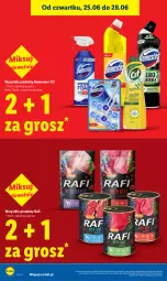 Gazetka promocyjna Lidl - Gazetka ważna od 25.06 do 28.06 - Gazetka - ważna od 28.06 do 28.06.2026 - strona 22 - produkty: Domestos, Cif