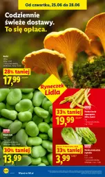 Gazetka promocyjna Lidl - Gazetka ważna od 25.06 do 28.06 - Gazetka - ważna od 28.06 do 28.06.2026 - strona 36 - produkty: Sałat, Fasola, Fasola szparagowa, Fa