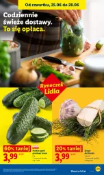 Gazetka promocyjna Lidl - Gazetka ważna od 25.06 do 28.06 - Gazetka - ważna od 28.06 do 28.06.2026 - strona 37 - produkty: Grunt