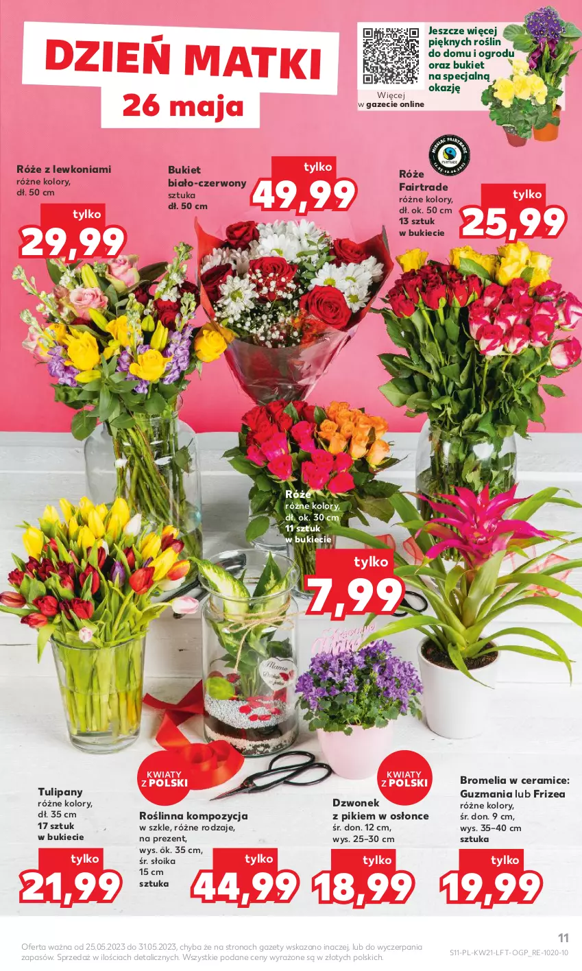 Gazetka promocyjna Kaufland - Gazetka tygodnia - ważna 25.05 do 31.05.2023 - strona 11 - produkty: Bromelia, Bukiet, Dzwonek, Fa, Tulipan