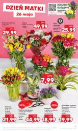 Gazetka promocyjna Kaufland - Gazetka tygodnia - Gazetka - ważna od 31.05 do 31.05.2023 - strona 11 - produkty: Tulipan, Dzwonek, Bromelia, Bukiet, Fa