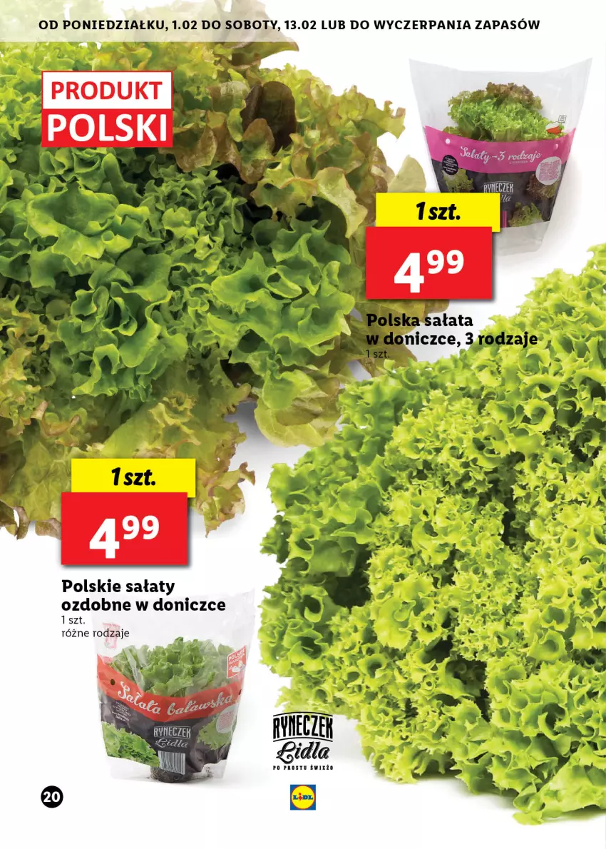 Gazetka promocyjna Lidl - RYNECZEK LIDLA - PO PROSTU ŚWIEŻO - ważna 01.02 do 13.02.2021 - strona 20