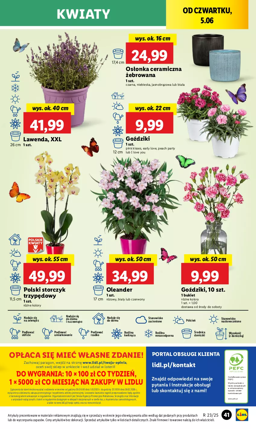 Gazetka promocyjna Lidl - GAZETKA - ważna 05.06 do 07.06.2025 - strona 51 - produkty: Bukiet, Cień, Gra, Laur, Mola, O nas, Osłonka, Por, Portal, Sok, Storczyk