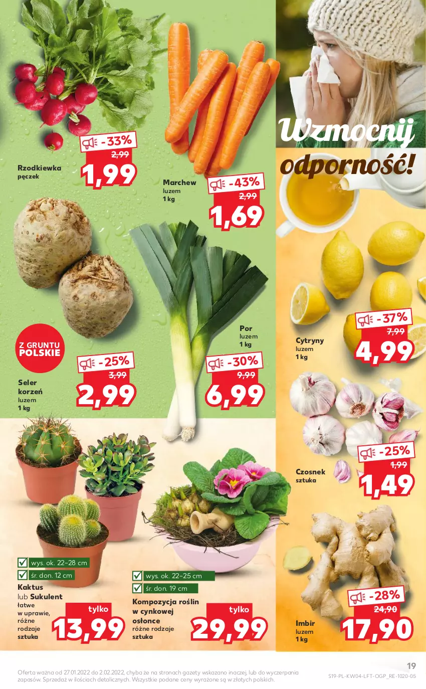 Gazetka promocyjna Kaufland - OFERTA TYGODNIA - ważna 27.01 do 02.02.2022 - strona 19 - produkty: Cynk, Cytryny, Czosnek, Grunt, Imbir, Kaktus, Por, Rzodkiewka, Seler korzeń, Sukulent