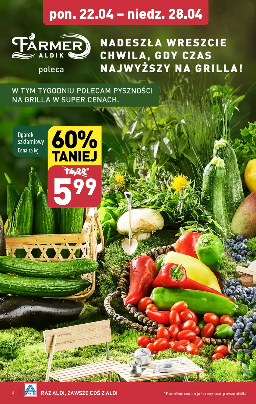 Gazetka promocyjna Aldi - Pełna oferta - ważna 22.04 do 28.04.2024 - strona 4 - produkty: Ogórek