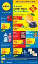 Gazetka promocyjna Lidl - GAZETKA - Gazetka - ważna od 31.01 do 31.01.2026 - strona 1 - produkty: Coca-Cola, Pomelo, Silan, Pilos, Schab wieprzowy, Płyn do płukania, Masło