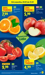 Gazetka promocyjna Lidl - GAZETKA - Gazetka - ważna od 31.01 do 31.01.2026 - strona 25 - produkty: Cytryny, Pomarańcze, Pomidory, Jabłka