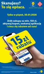 Gazetka promocyjna Lidl - GAZETKA - Gazetka - ważna od 31.01 do 31.01.2026 - strona 3 - produkty: Gra, Napoje, Znicz, Karmi