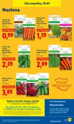 Gazetka promocyjna Lidl - GAZETKA - Gazetka - ważna od 31.01 do 31.01.2026 - strona 61 - produkty: Por, Gra, Portal, Laur, Mola