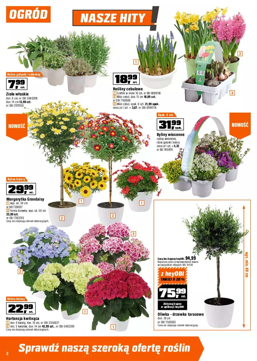 Gazetka promocyjna Obi - Gazetka OBI - ważna 25.03 do 06.04.2026 - strona 2 - produkty: Gra, Ogród