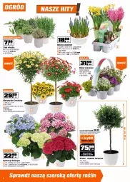 Gazetka promocyjna Obi - Gazetka OBI - Gazetka - ważna od 06.04 do 06.04.2026 - strona 2 - produkty: Gra, Ogród