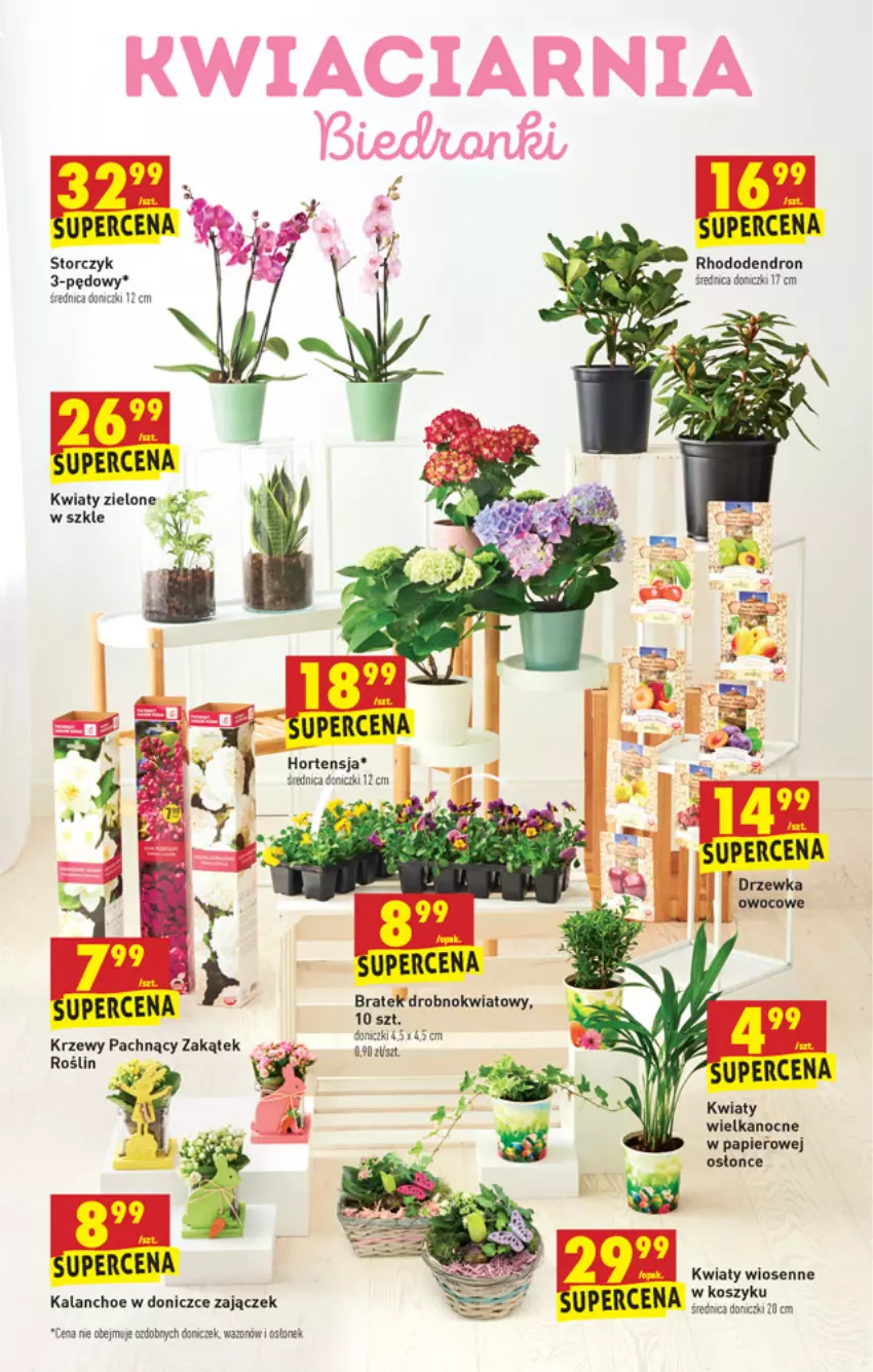 Gazetka promocyjna Biedronka - W tym tygodniu PN - ważna 25.03 do 31.03.2021 - strona 61 - produkty: Dron, Kalanchoe, Kosz, Papier, Storczyk