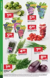 Gazetka promocyjna Stokrotka - Market - Gazetka - ważna od 29.04 do 29.04.2024 - strona 12 - produkty: Warzywa, Limonka, Bazyl, Owoce, Bazylia, Natka pietruszki, Pomidory, Mięta, Mięso