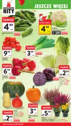 Gazetka promocyjna Intermarche - Gazetka Intermarche - Gazetka - ważna od 08.10 do 08.10.2025 - strona 18 - produkty: Kalafior, Por, Mus, Papryka czerwona, Papryka, Ogórek, Grunt