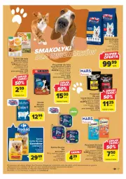 Gazetka promocyjna Carrefour - Gazetka Carrefour - Gazetka - ważna od 20.05 do 20.05.2023 - strona 17 - produkty: Iams, Kosz, Przysmaki, Felix, Przysmak dla kota, Butcher's