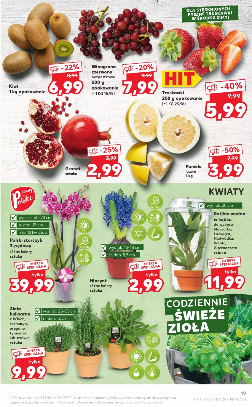 Gazetka promocyjna Kaufland - Promocje - ważna 04.02 do 10.02.2021 - strona 19 - produkty: Gra, Granat, Hiacynt, Kiwi, Pomelo, Storczyk, Tera, Truskawki, Wino, Winogrona, Wódka