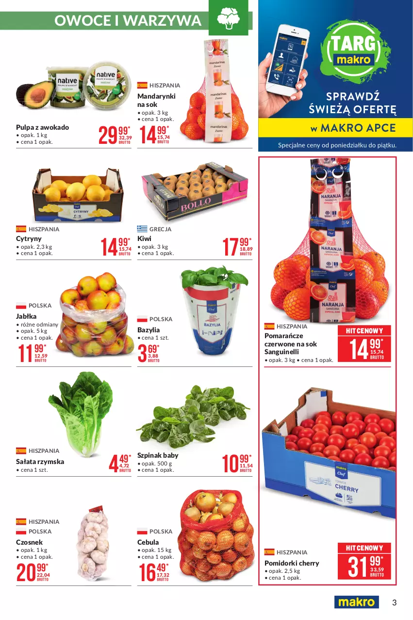 Gazetka promocyjna Makro - [Oferta promocyjna] Artykuły spożywcze i przemysłowe - ważna 23.02 do 08.03.2021 - strona 3 - produkty: Bazyl, Bazylia, Cebula, Cytryny, Czosnek, Jabłka, Kiwi, Mandarynki, Owoce, Pomarańcze, Pomidorki, Sałat, Sok, Szpinak, Warzywa