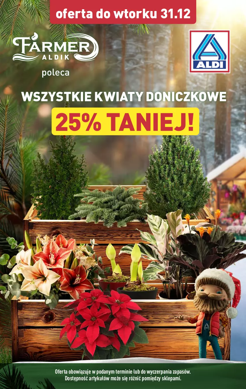 Gazetka promocyjna Aldi - Farmer ALDIK poleca świeże owoce i warzywa - ważna 27.12.2024 do 04.01.2025 - strona 9