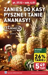 Gazetka promocyjna Aldi - Farmer ALDIK poleca świeże owoce i warzywa - Gazetka - ważna od 04.01 do 04.01.2025 - strona 4 - produkty: Ananas