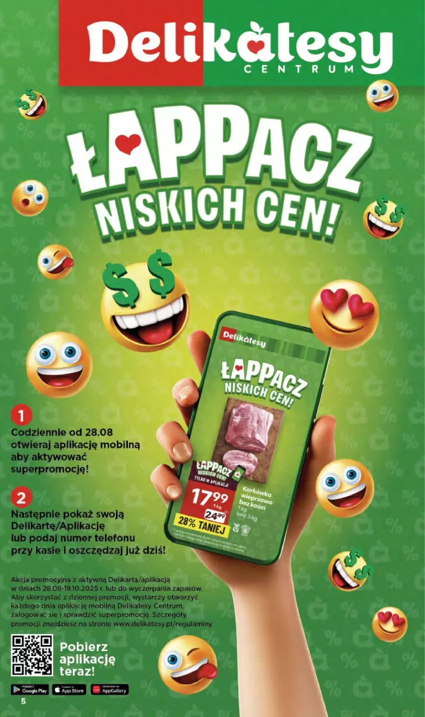 Gazetka promocyjna Delikatesy Centrum - Franczyza DC37 Czwartek - ważna 11.09 do 17.09.2025 - strona 5 - produkty: Tera