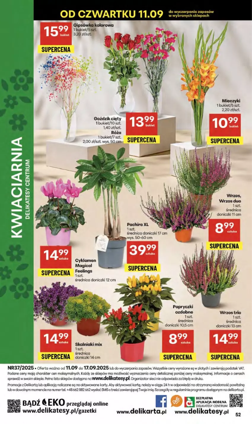Gazetka promocyjna Delikatesy Centrum - Franczyza DC37 Czwartek - ważna 11.09 do 17.09.2025 - strona 52 - produkty: Bukiet, Cyklamen, Gra, Miecz, Róża