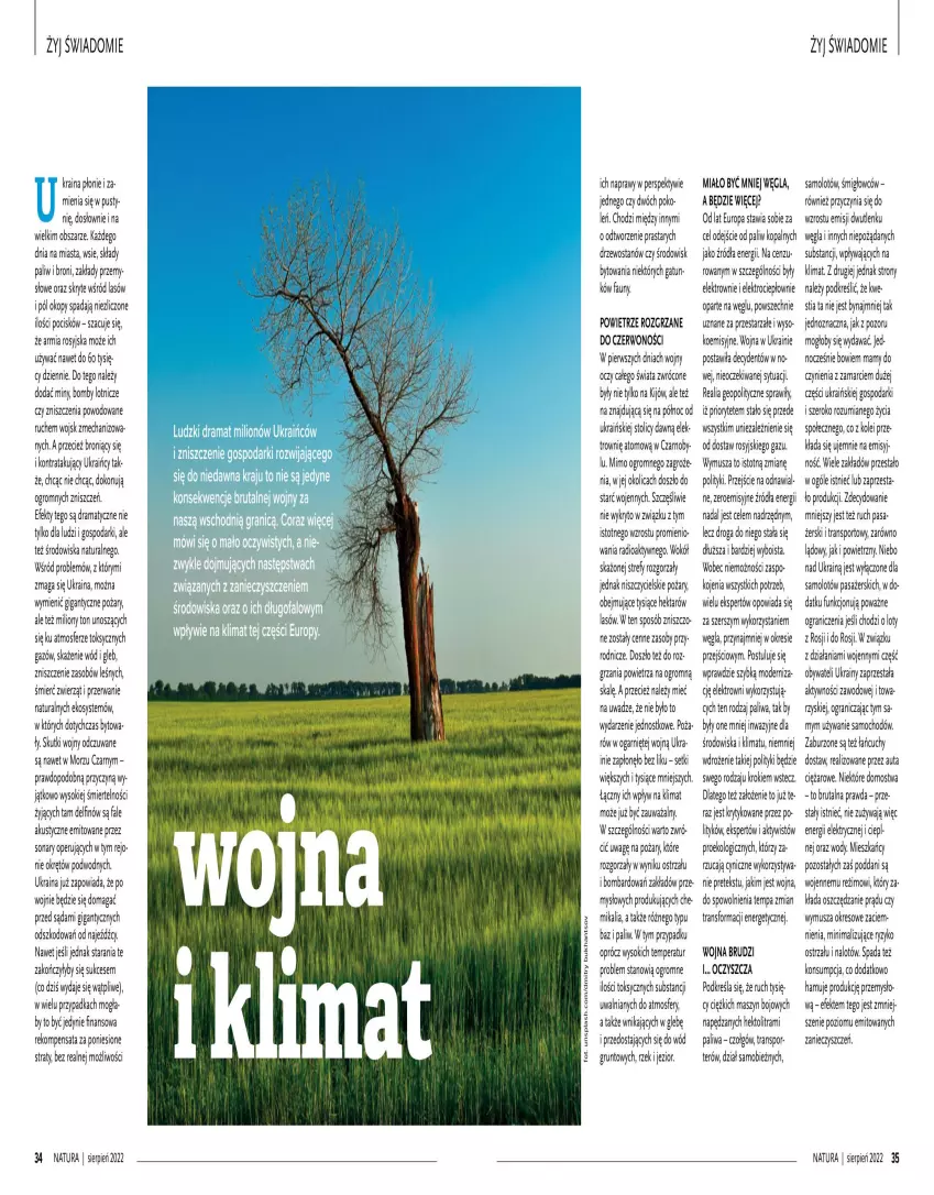 Gazetka promocyjna Drogerie Natura - Gazetka Drogerie Natura - ważna 01.08 do 31.08.2022 - strona 18 - produkty: Amol, Brutal, Fa, Gra, Grunt, Lion, Mus, Por, Rama, Samolot, Sok, Sport, Tran